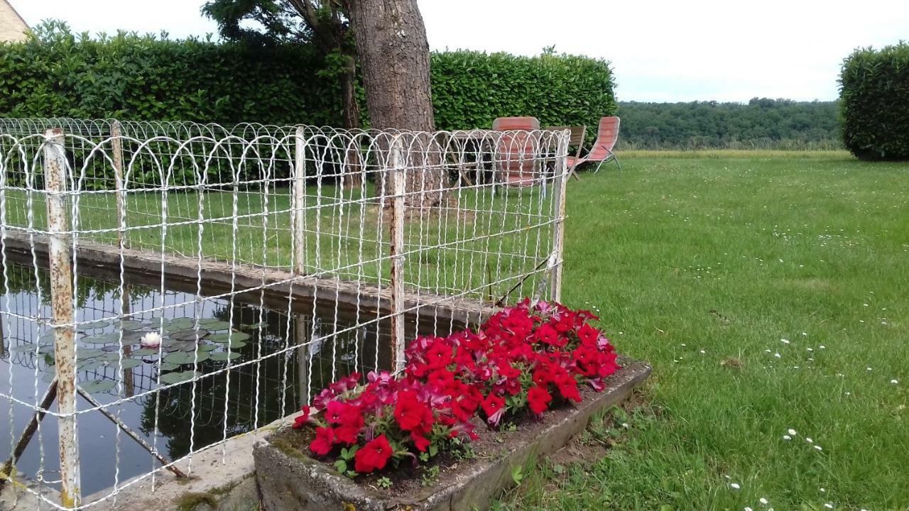 Gite De Bazeille Saint-Avit-Sénieur Екстериор снимка